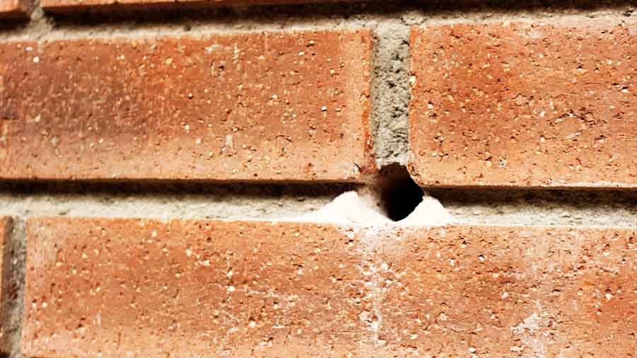 Aislar con celulosa paredes desde el exterior