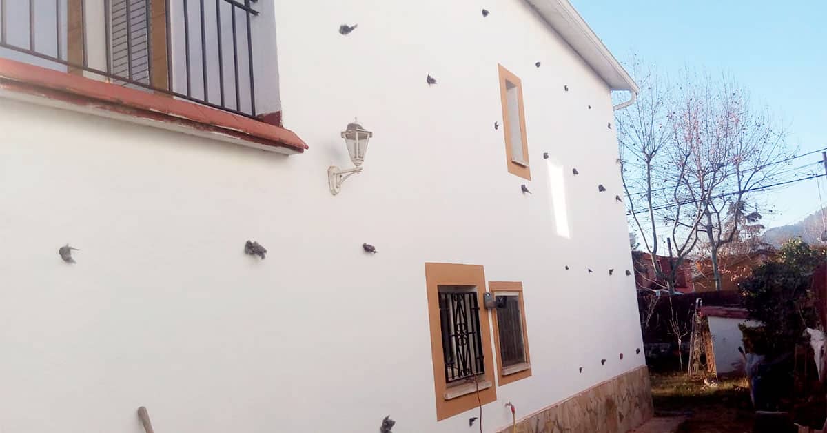 Aïllar amb cel·lulosa és una inversió rentable