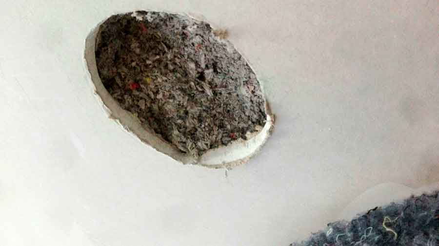 Aislar paredes y falso techo con celulosa