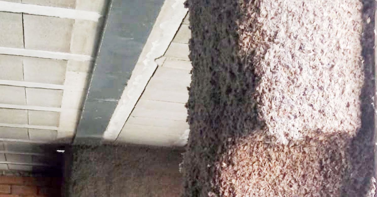 Proyectado de celulosa en obra nueva