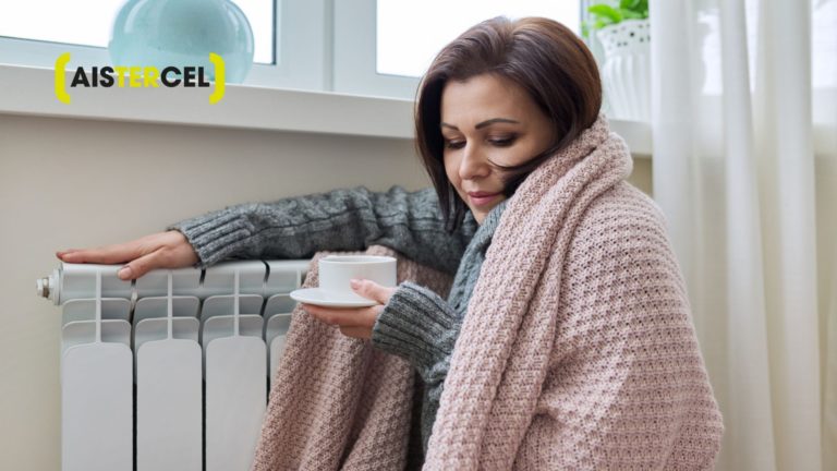 Mejorar el aislamiento térmico: un enfoque sostenible para no pasar frío en casa